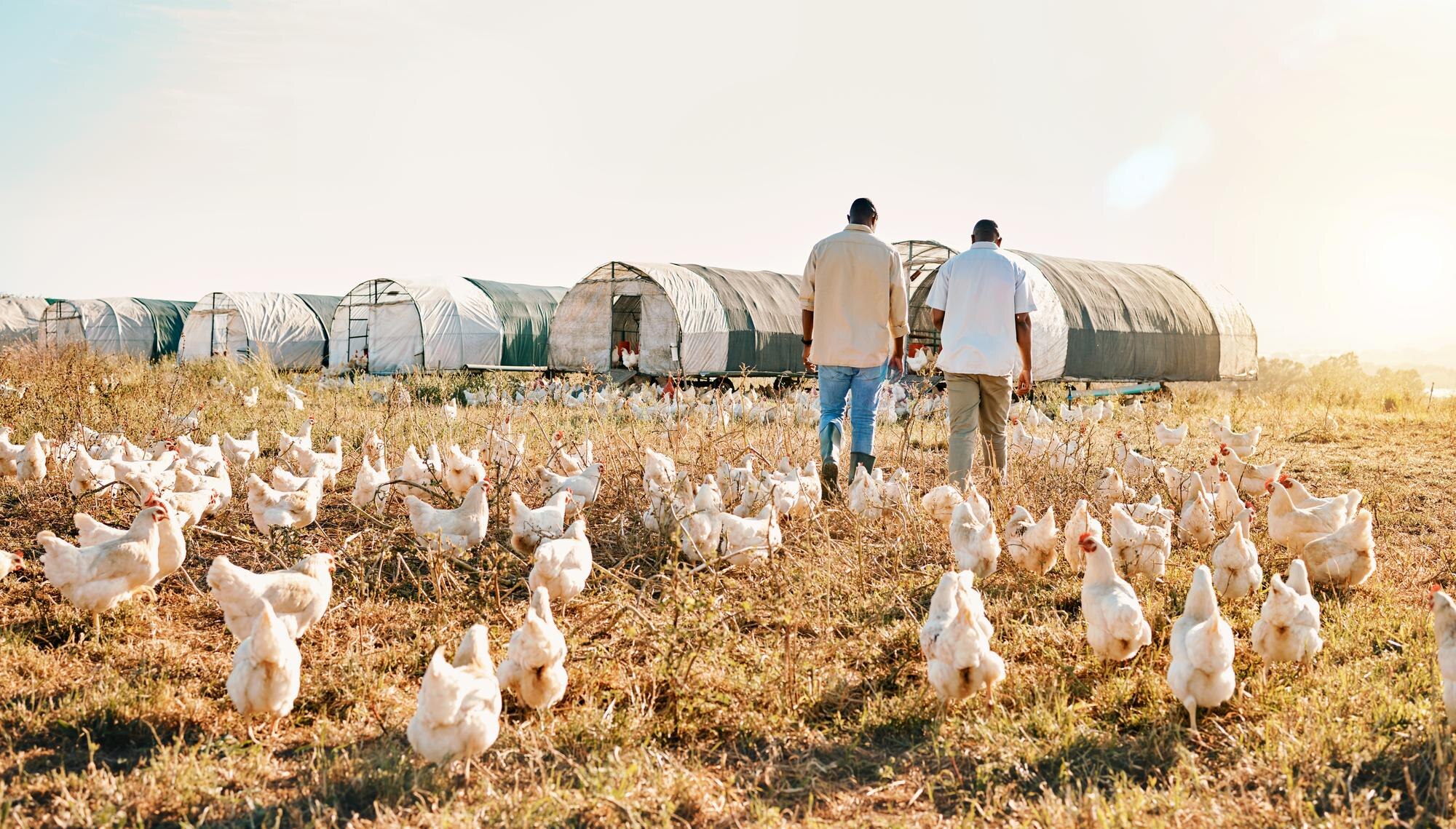 Farm Pathway Planning